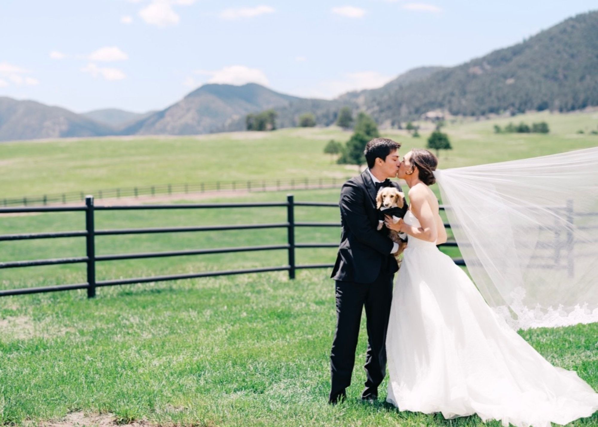 A bride and groom kiss while holding thier dog in the sunshine, the bride wears a lace ballgown wedding dress, lace topper and cathedral veil.
